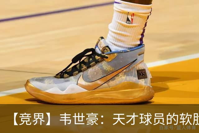 【竞界】韦世豪：天才球员的软肋 洪七公效应的外溢